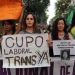 Colectivo Trans Travesti en Peligro en Pandemia