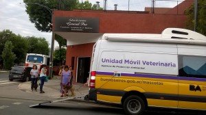 Atenciones Gratuitas Veterinarias en Mataderos